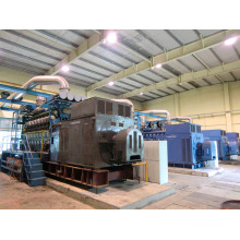 1-500mw Googol Engine Diesel Power Plant Generator